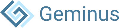 Geminus Demo - Gas Delivery Network Optimization